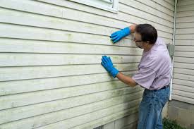 ### Historical Building Siding Restoration in Grass Lake, MI